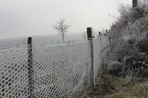 Ferme De Chèrevie - Image 4