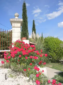 Mas Du Grand Vallen - Image 5