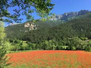 Domaine La Pique - Image 4