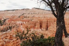 The Cottages At Bryce Canyon - Image 5