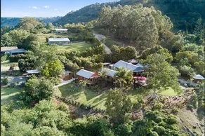 Jetavana Grove - Image 4