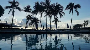 Miami Beach Resort & Spa - Image 2