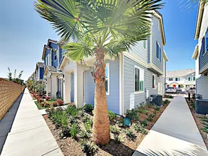 Surfbird - 4 Br Townhouse - Image 4