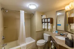 Hampton Inn Savannah-Historic District - Image 5