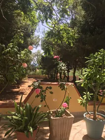 Mediterraneo - Image 3
