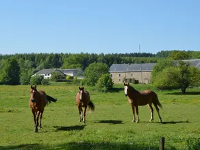 Renovated Farmhouse Completely Furnished Forgroups - Image 5
