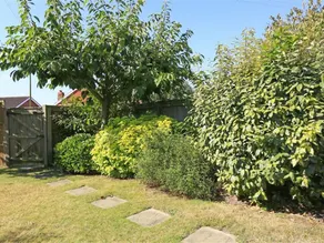 Beautiful Holiday Home in Reydon Anglia With Private Garden - Image 4