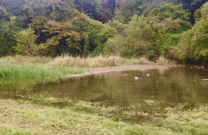 The Saltings - A Tranquil Space - Image 3