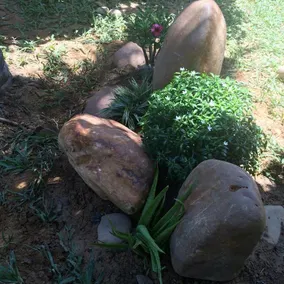 Green Garden Homestay - Image 5