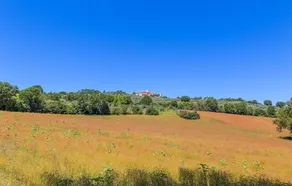 Portella - Image 4
