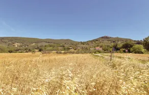 Rosa dei Venti - Image 3