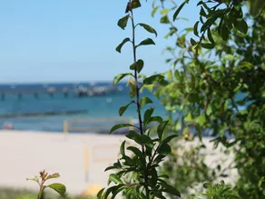 Charming Holiday Home in Robertsdorf on Baltic Coast - Image 3