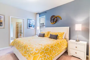 Windsor at Westside Resort by Global Resort Homes - Image 3
