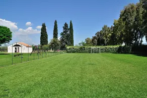 Lorto Di Lucania - Image 5