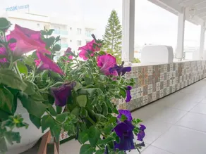 Sonias Angel House - Image 5
