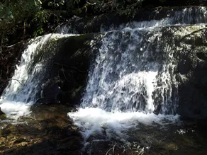 Creekside Paradise - Image 3