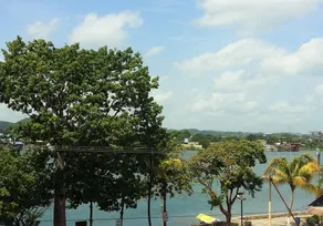 Flores de Peten - Image 5