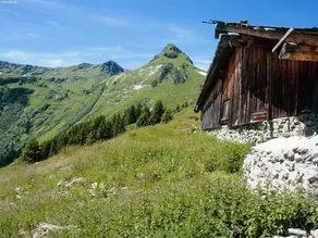 Sunlit Apartment Near Ski Area in Leogang - Image 3