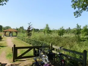 Pretty Farmhouse in Haaksbergen Near Forest - Image 3
