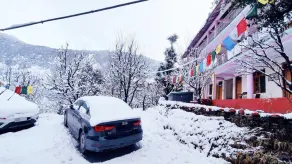 Manali Top Inn and Cafe - Image 2