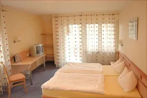 Gruener Baum Gasthof - Image 4