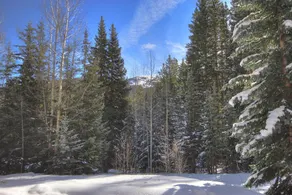 Aspen House by RedAwning - Image 5