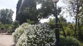 Quinta Da Florencia - Image 5
