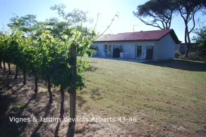 Auberge Des Trois Pins - Image 4