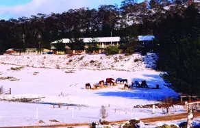 Cooba Holiday Motel - Image 2