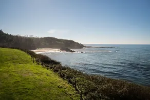 Surf Rider House - Image 3