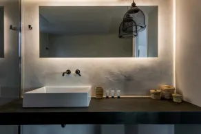 Black Cactus - Image 5