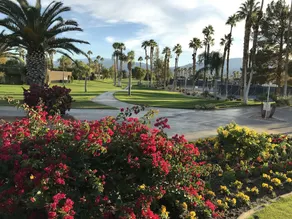 Desert Princess Country Club - Image 5