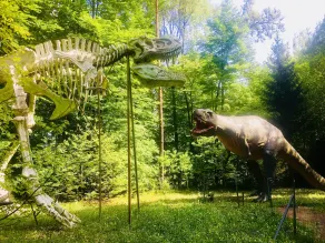 Baumhotel Styrassic Park - Image 3