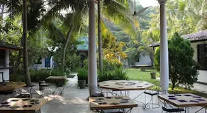 Paradise Garden - Image 4