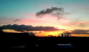 Rowan - Luxury Eco Pod at Trewithen Farm Glamping - Image 2