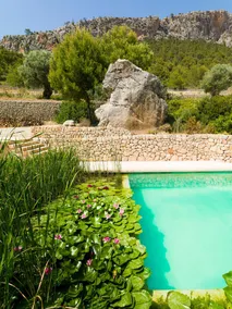 Finca Garrafa - Image 4