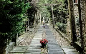 Village Park Resort & Spa - Image 4