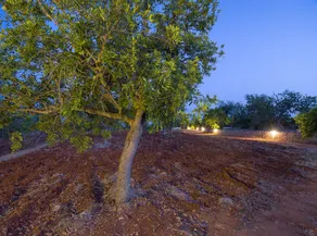 Villa Can Cama - Image 5
