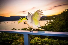 The Point Whitsunday Retreat - Image 3