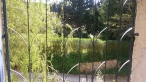 Le petit Dennevy - Image 2