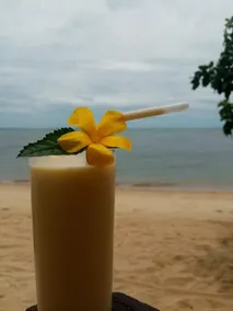 Nichos Island Resort - Image 2