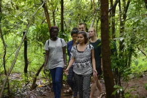 Mahagedara Wellness Retreat - Image 5