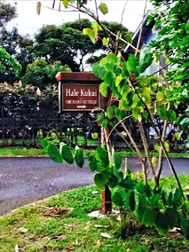 Hale Kukui Orchard & Resort - Image 2