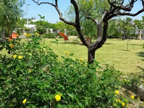 Villa With 4 Bedrooms in Specchia, With Enclosed Garden - 10 km From t - Image 4