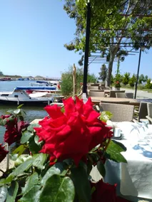 Deniz Kizi Hotel - Image 5