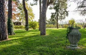 Podere San Giuliano - Image 4