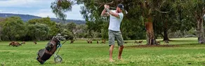 Kalgan River Chalets & Caravan Park - Image 5