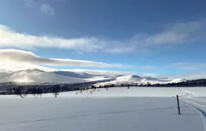 Amazing Home in Oppdal With Wifi and 4 Bedrooms - Image 3