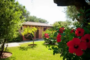 Happy Village - Image 5