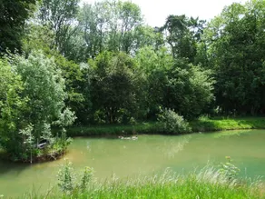 The Dairy - Image 4